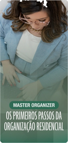 Master Organizer por dentro