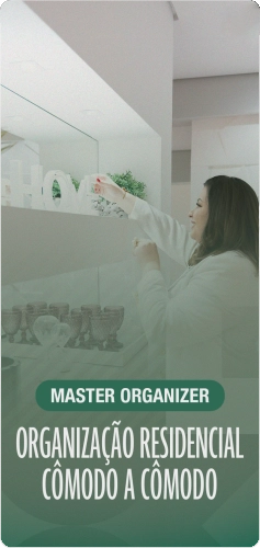 Master Organizer por dentro