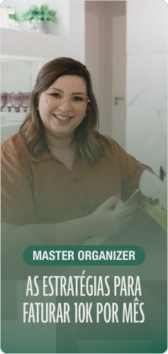 Master Organizer por dentro